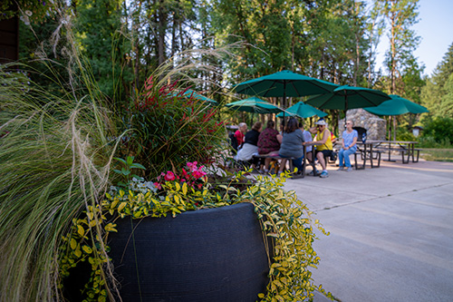 Flower pot near the Dining Hall patio